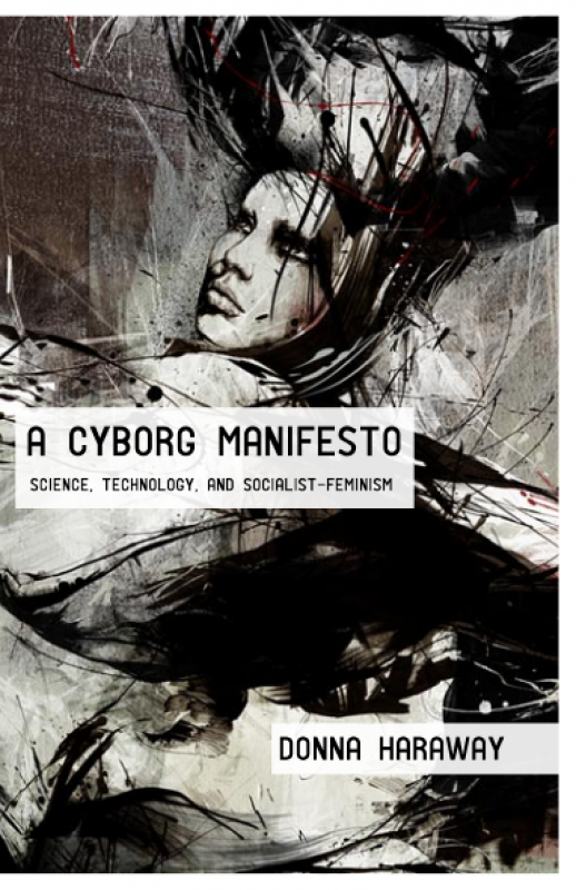Donna Haraway - Cyborg Manifesto